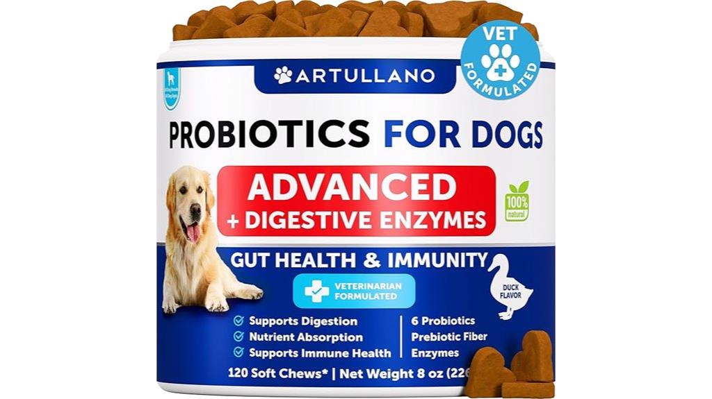 dog digestive health chews
