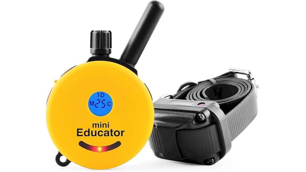 dog training remote collar