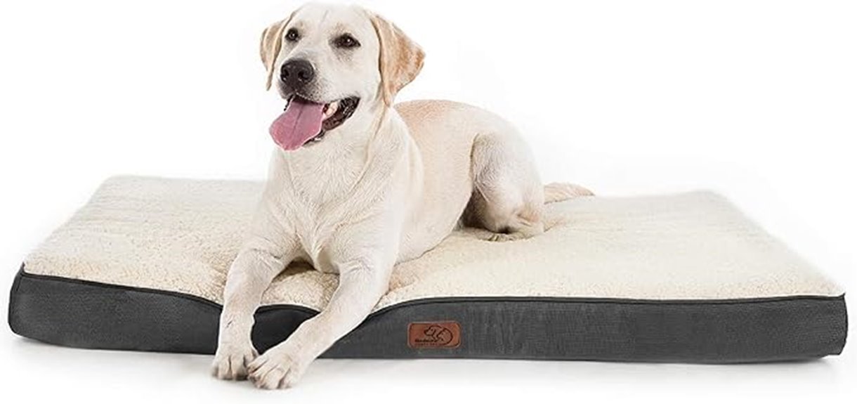 large washable orthopedic dog bed