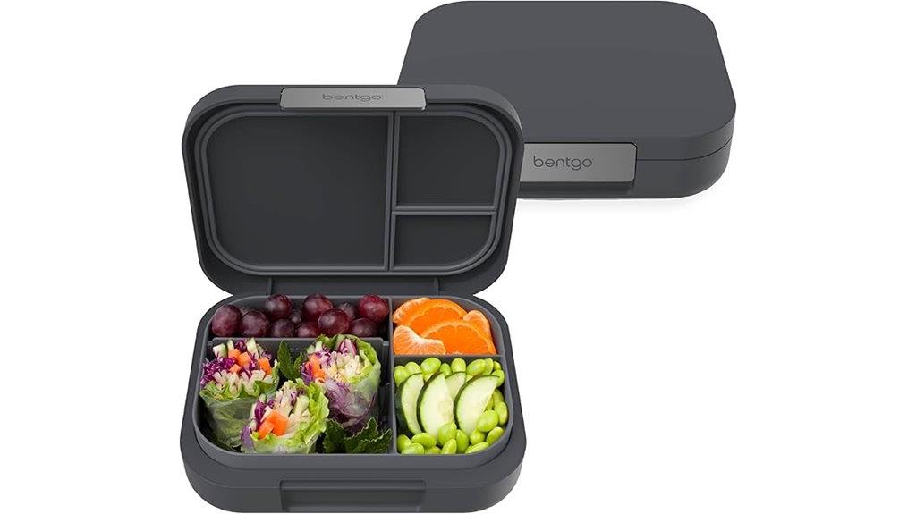 stylish adult lunch container