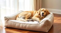 top orthopedic dog beds