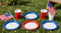 15 Best Patriotic Outdoor Party Supplies in 2026
